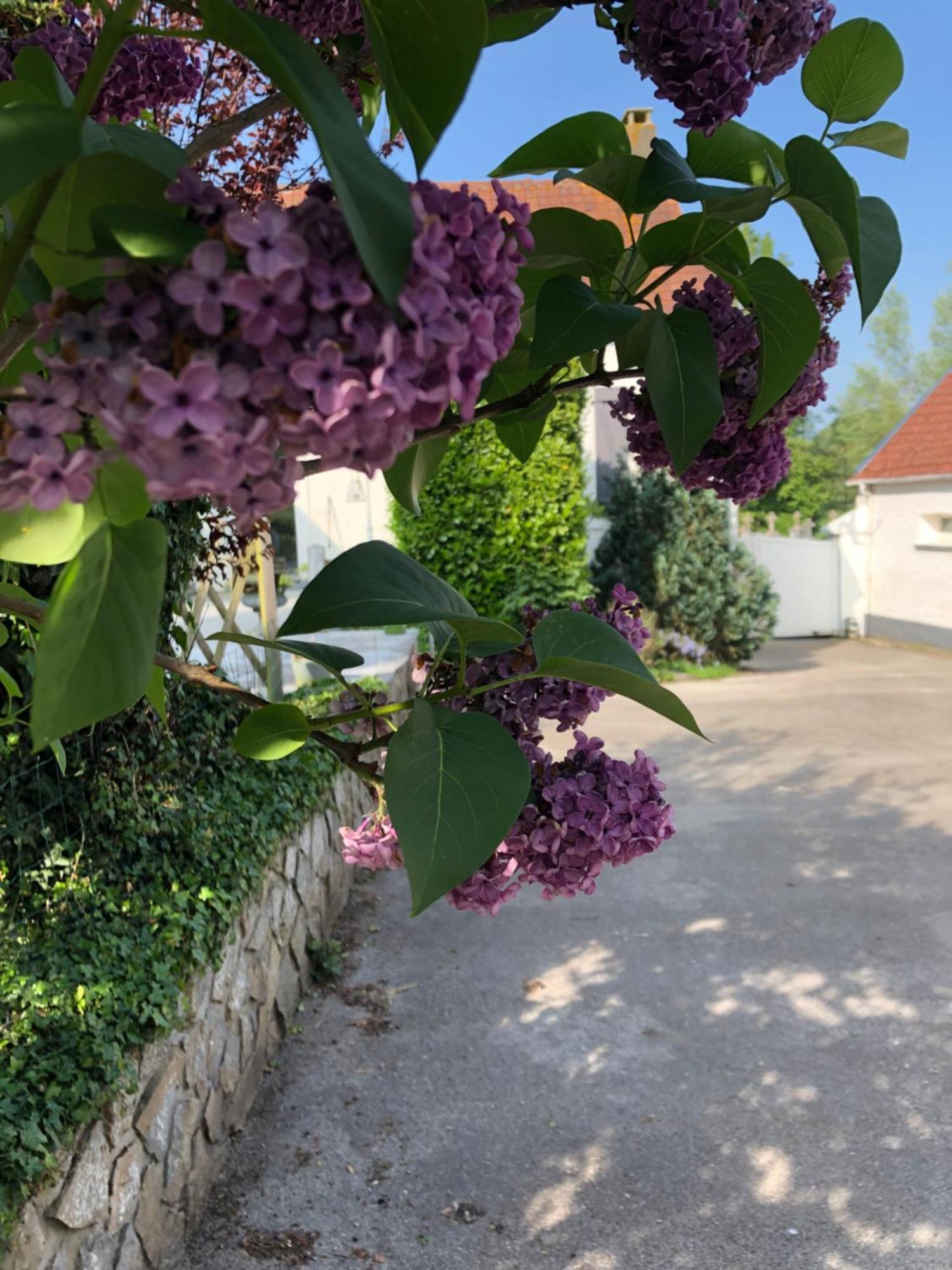 Le Clos De La Pommeraie Carly Esterno foto